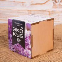 Набор для выращивания «Экокуб Lite», сирень