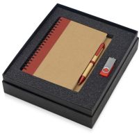 Подарочный набор Essentials с флешкой и блокнотом А5 с ручкой, красный