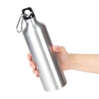 Бутылка для воды под сублимацию Alumni, серебристая