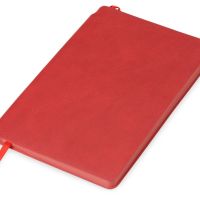 Подарочный набор Notepeno, красный