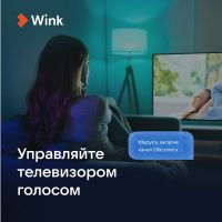 Умная колонка VK Капсула Мини с голосовым помощником Марусей, светлый серый
