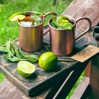Набор кружек для коктейля с рецептом Moscow mule