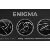 Набор из 3 металлических головоломок в мешочках Enigma