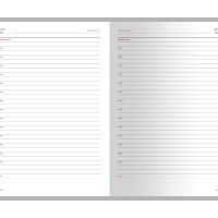 Ежедневник недатированный А5 Ideal New, бордовый